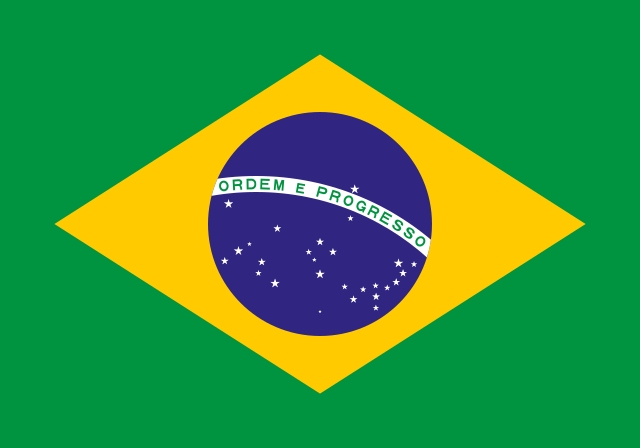 flag 2