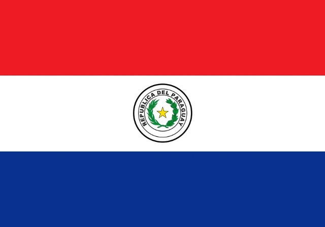 flag 8