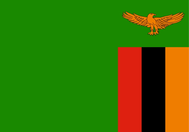 flag 9